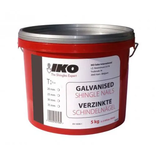 Galvanized Nails 5kg soft pack (25mm) кровельные гвозди